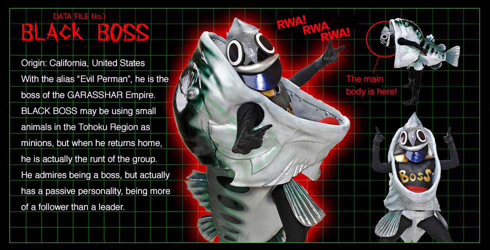 TOHOKU GASSHIN MIRAIGAR