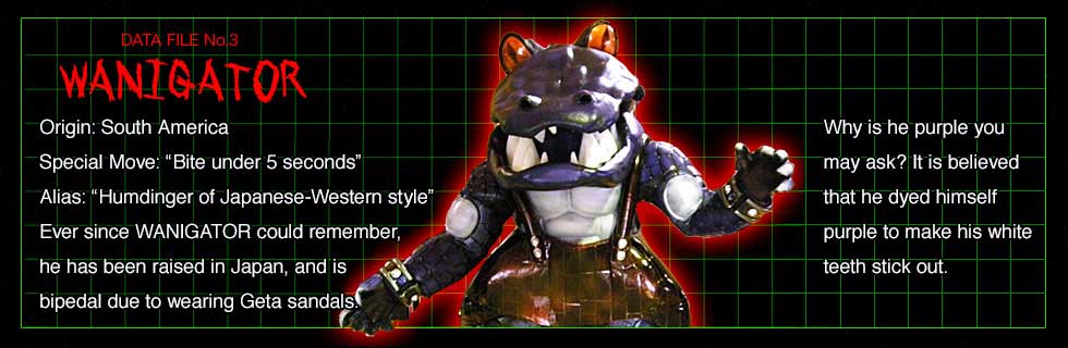 TOHOKU GASSHIN MIRAIGAR